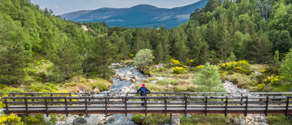 A man standing in the Cairngorms National Park Bridge