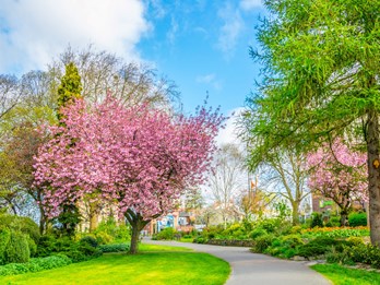 Leicester Castle Gardens Close To Charles Hope