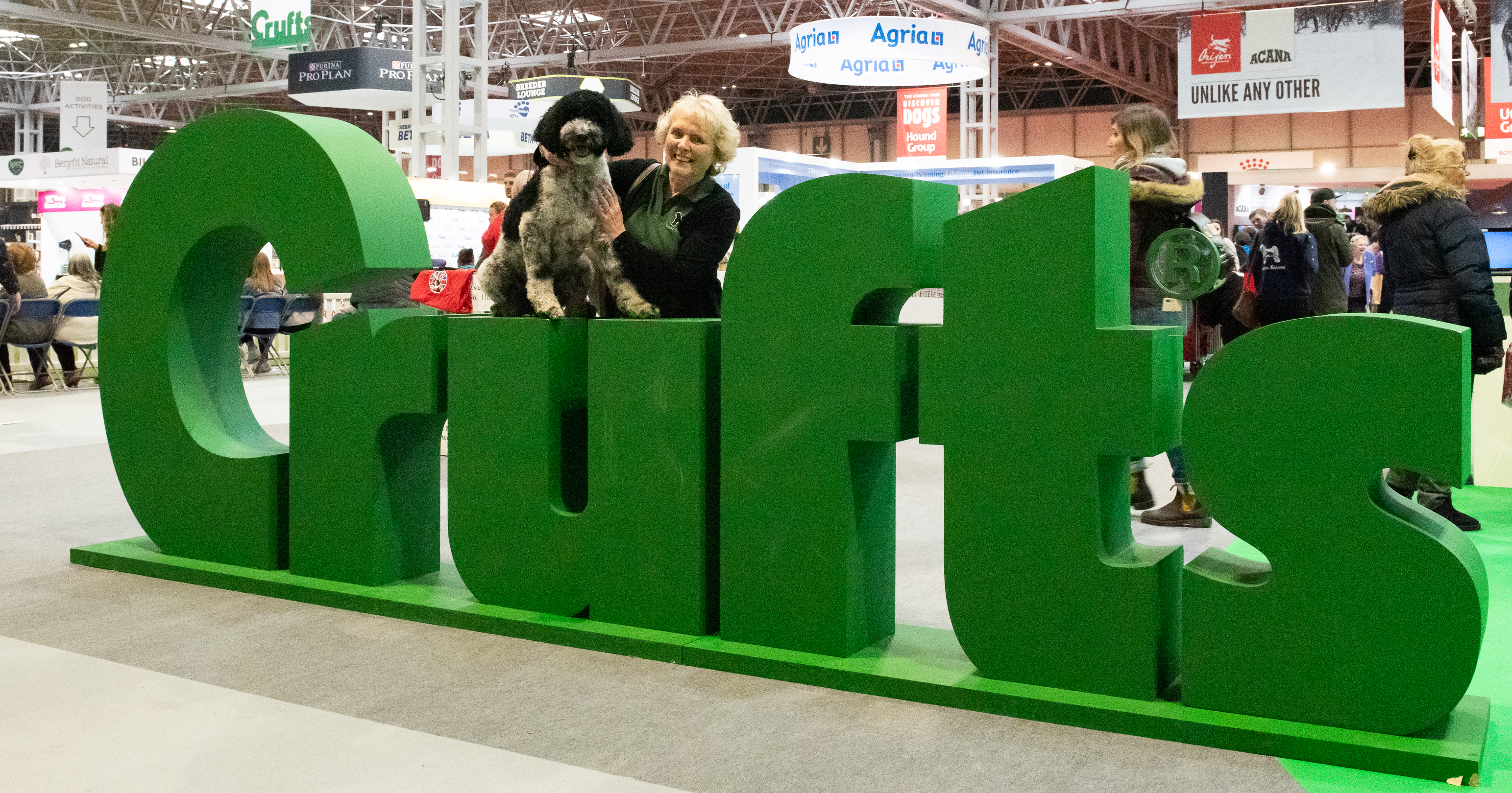 Crufts sign with a competing dog in 2020