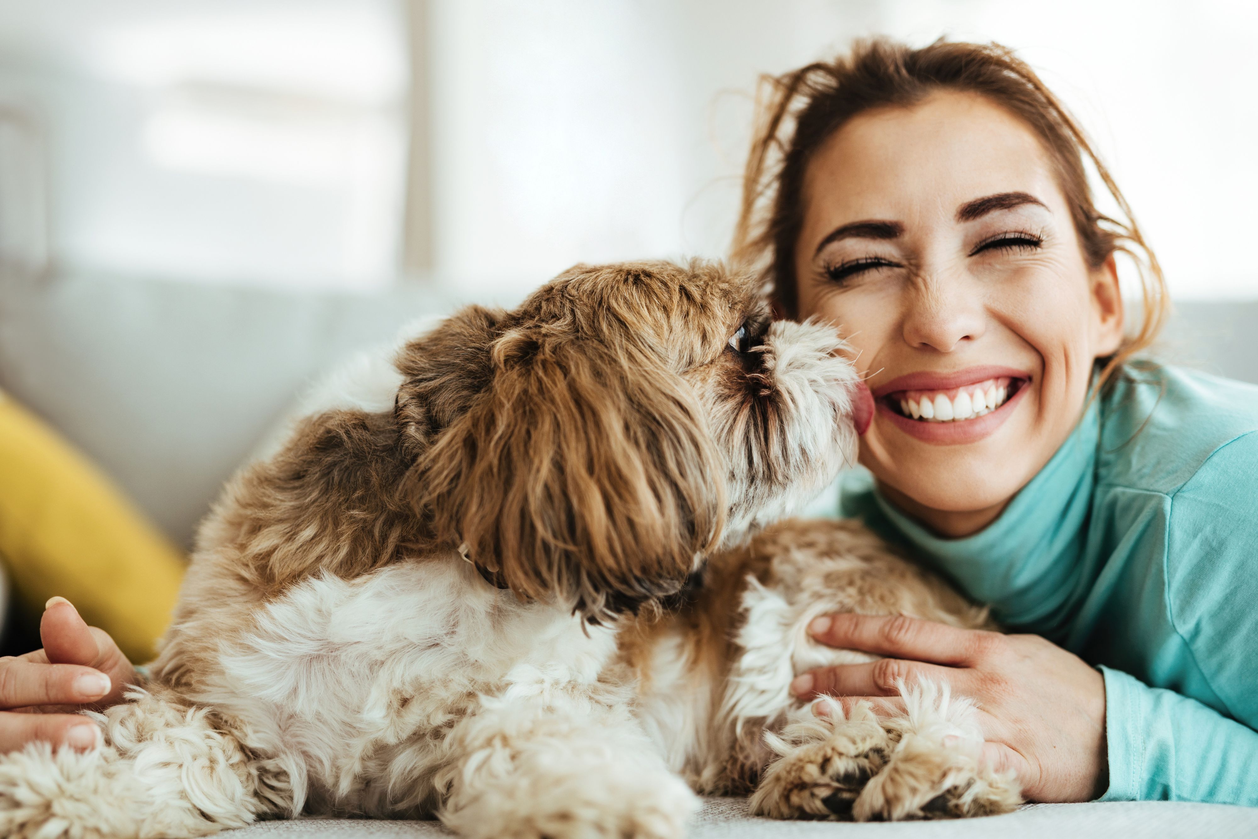 dog licking a woman